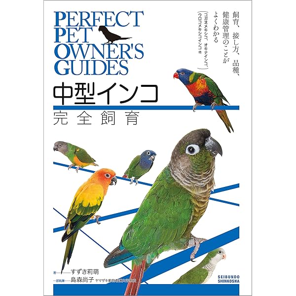 コンパニオンバード 創刊号〜No.28 鳥 コンパニオンバード No.28 | 株式会社誠文堂新光社